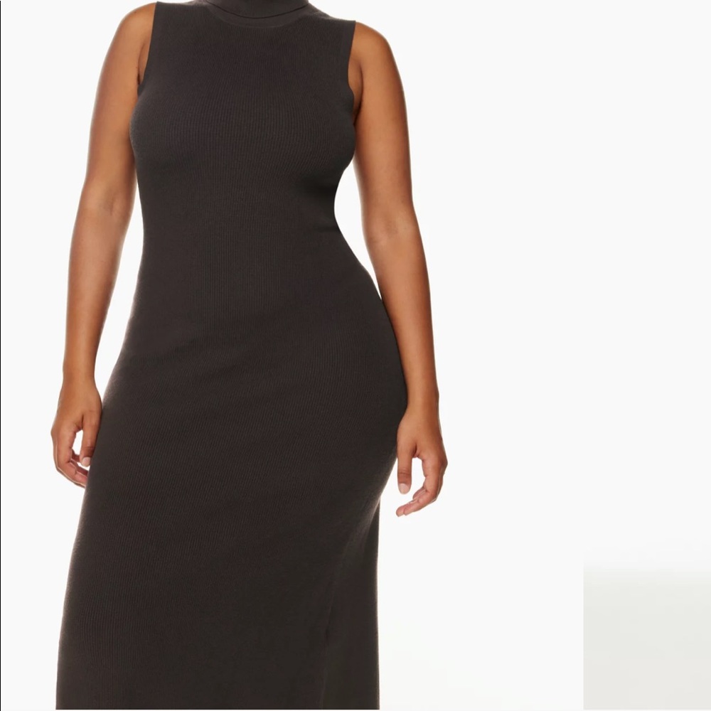 Aritzia Knit Dress - Picture 3 of 5